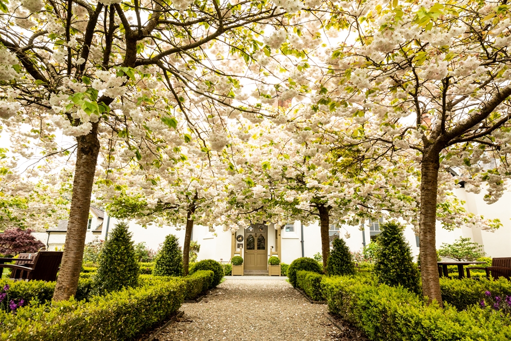 Hotel entrance pathway with trees