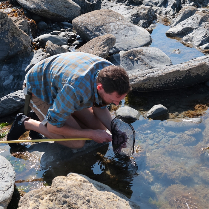 Hunting for prawns on a coastal foraging course