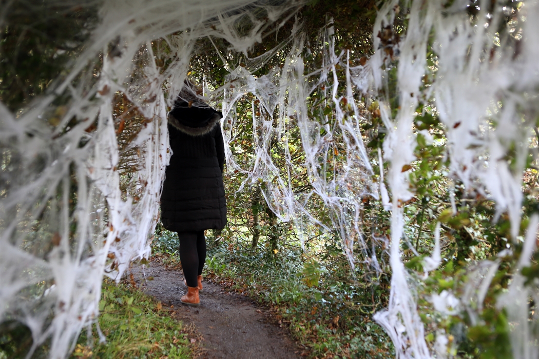 A person walking through cobweb decorated maze.