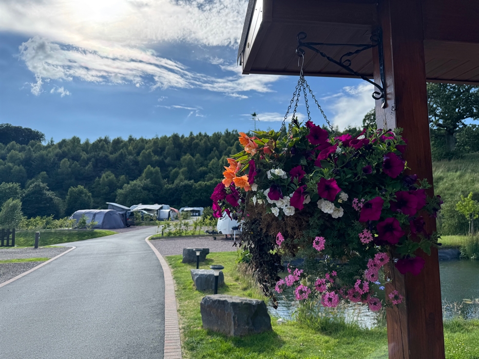 A photo of a woman relaxing on holiday, sat out on a sun lounger reading a magazine overlooking the Clywedog Valley.