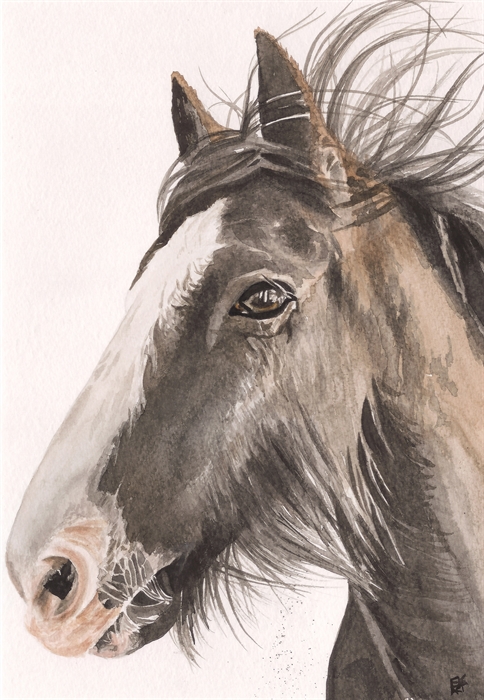 Emily is the talented artist at Bowowhouse and creates pet portrait watercolours, handmade wool dog coats and hand painted dog jackets. A selection of