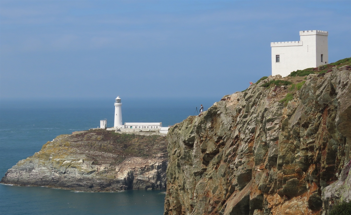 RSPB South Stack, Ellin's Tower & Lighthouse
Credit Laura K
