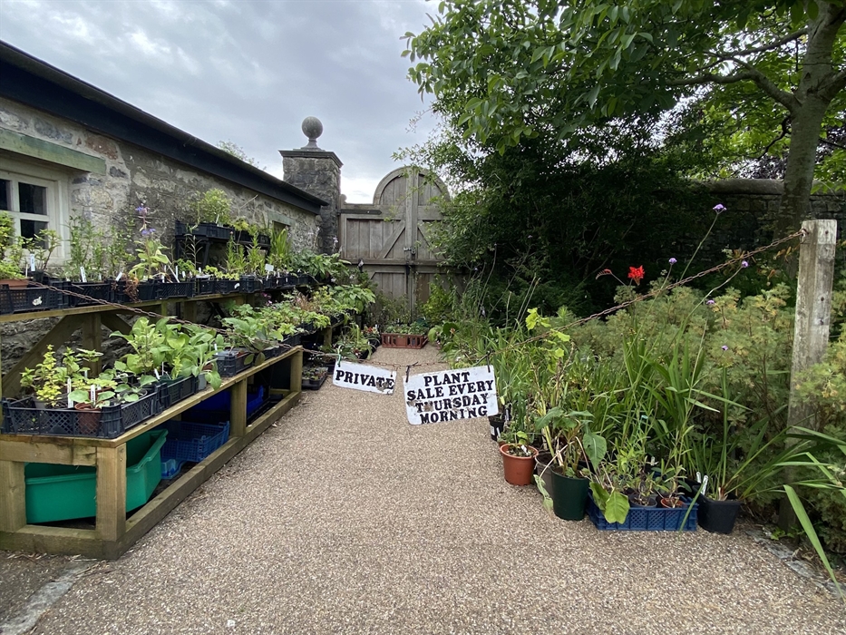 Cowbridge Physic Garden