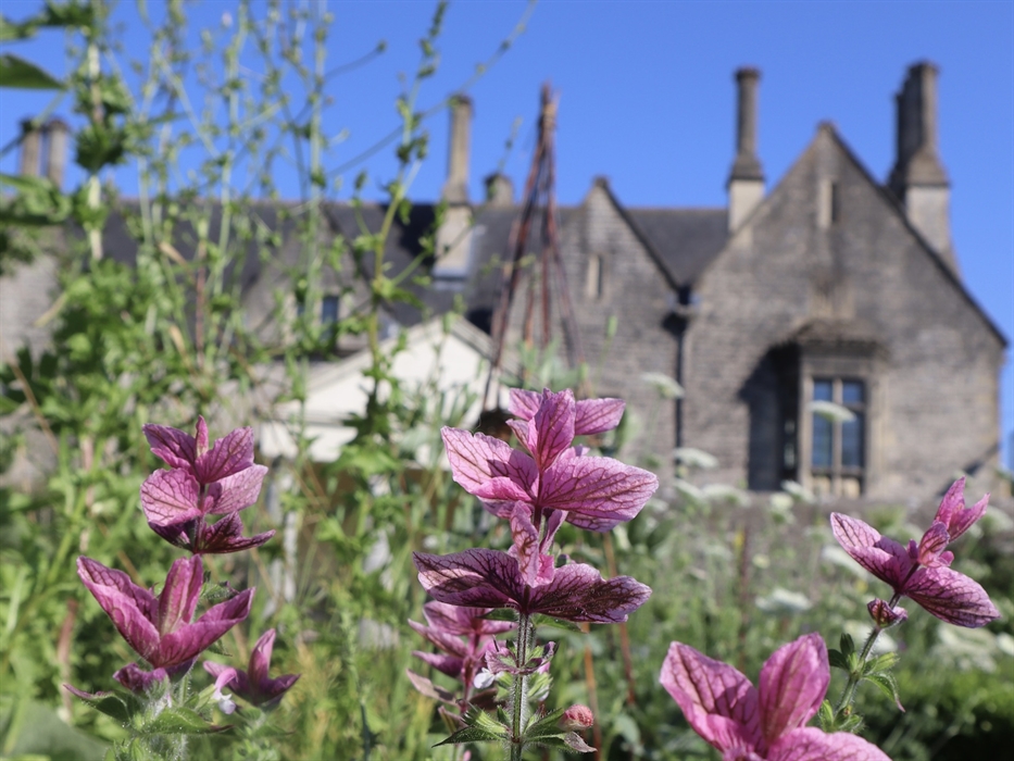 Cowbridge Physic Garden
