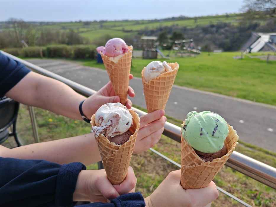 Mario's Ice Cream at Llys-y-fran
