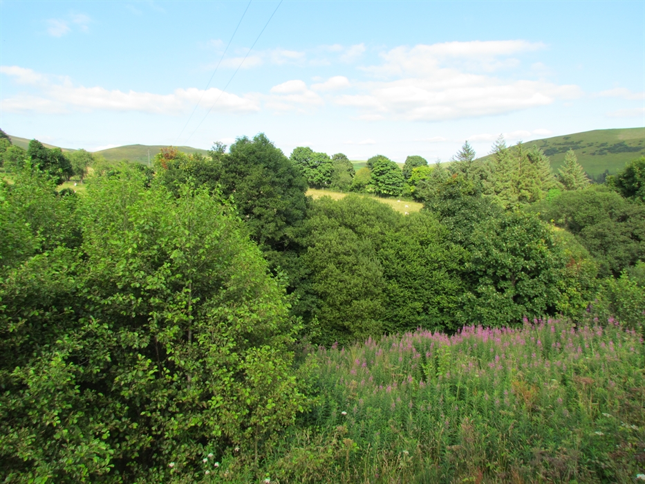 The view from the Cuckoo Hut decking & the hot tub.