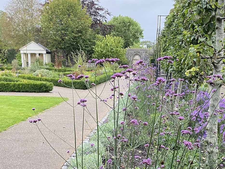 Cowbridge Physic Garden