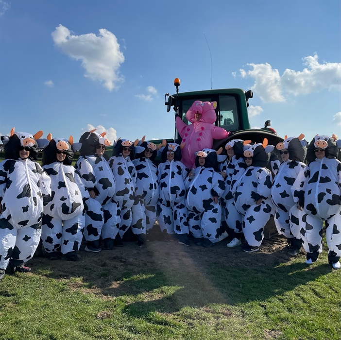 Enjoyable outdoor adventure on the farm
