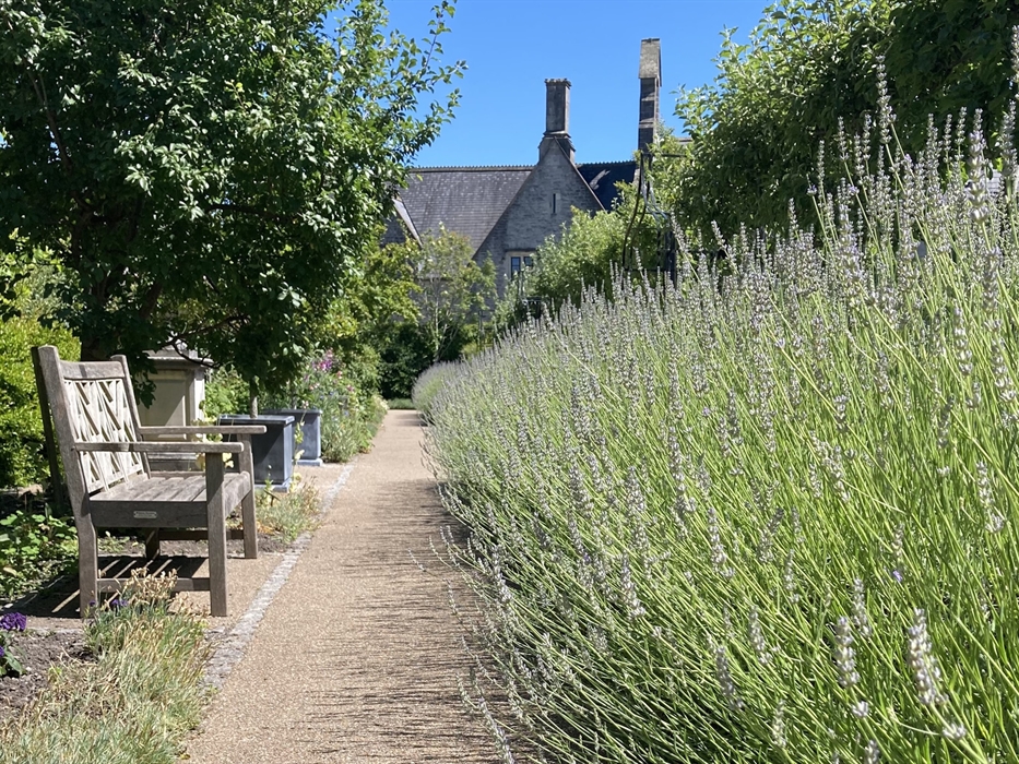 Cowbridge Physic Garden