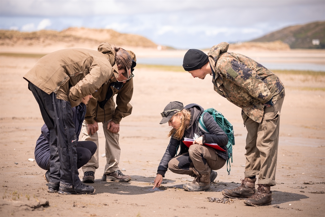 Looking at tracks on a wildlife tracking course