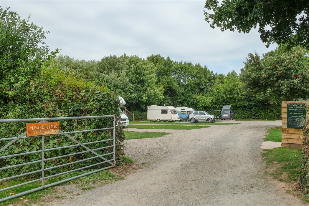Orchard Camping Field