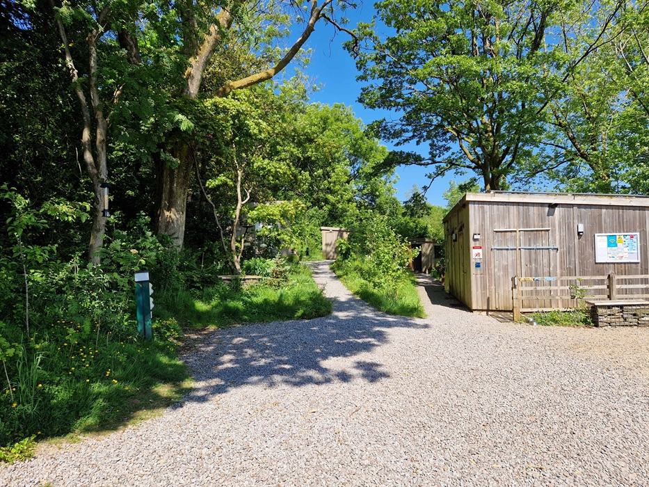 A wooden cabin surrounded by trees