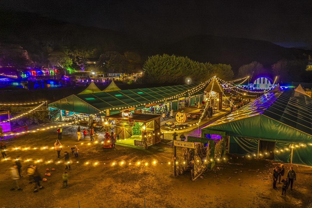 Pumpkin Fest Nights