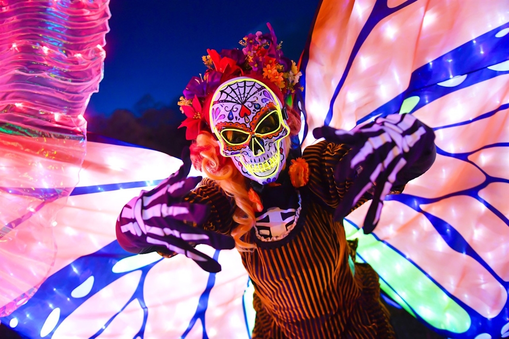 Illuminated costume - Spooks in the City: El Dia de los Muertos