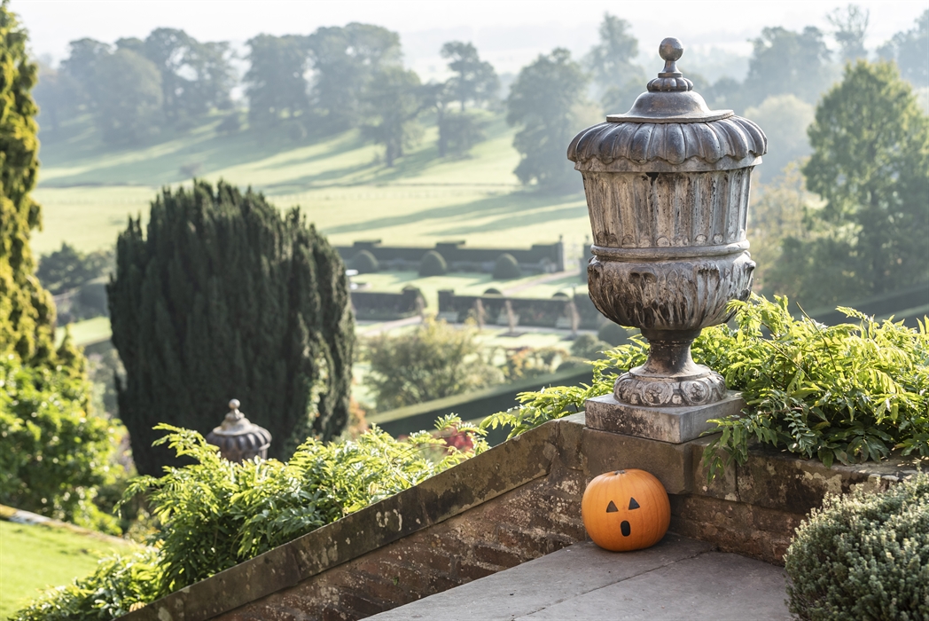 A carved pumpkin with a surprised face sits on a stone terrace beside an ornate stone urn, overlooking the terraced garden at Powis Castle and Garden