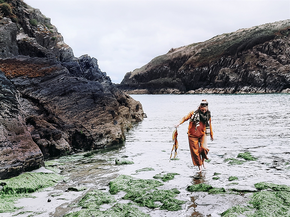 Noelle foraging seaweed at Aberfforest Beach.