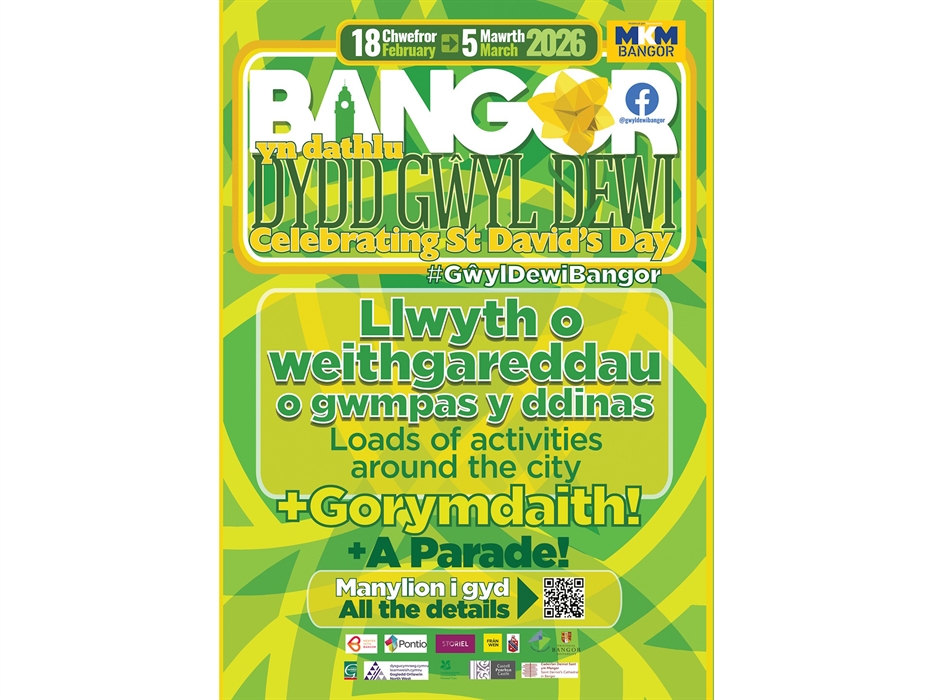 St David’s Festival At Bangor