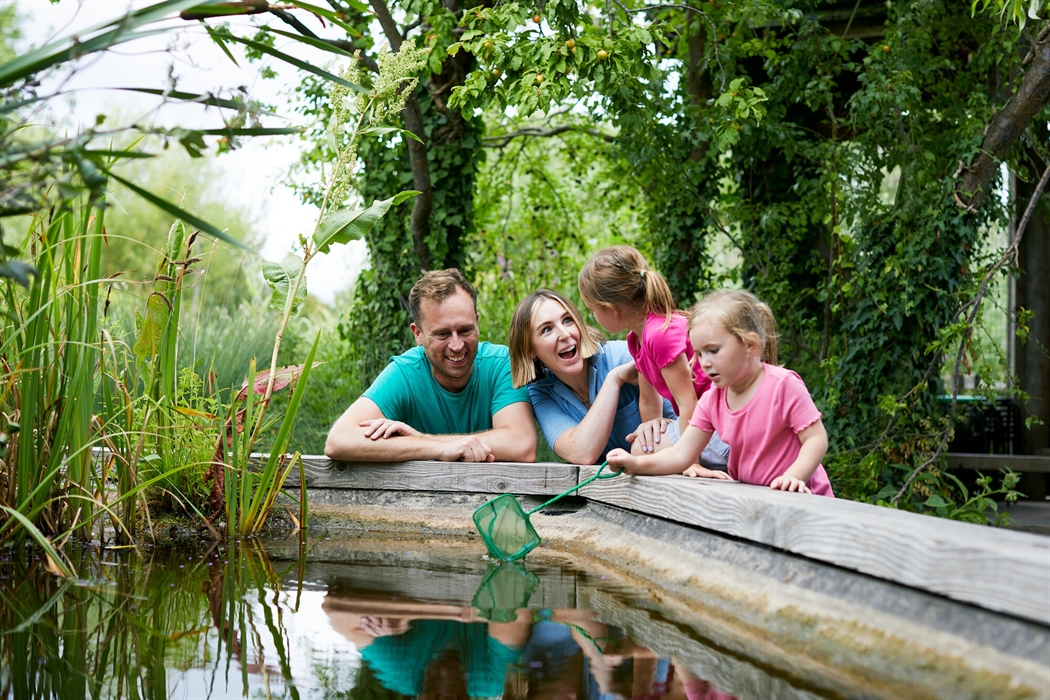 A family gathered around a pond dipping for creatures at WWT Llanelli