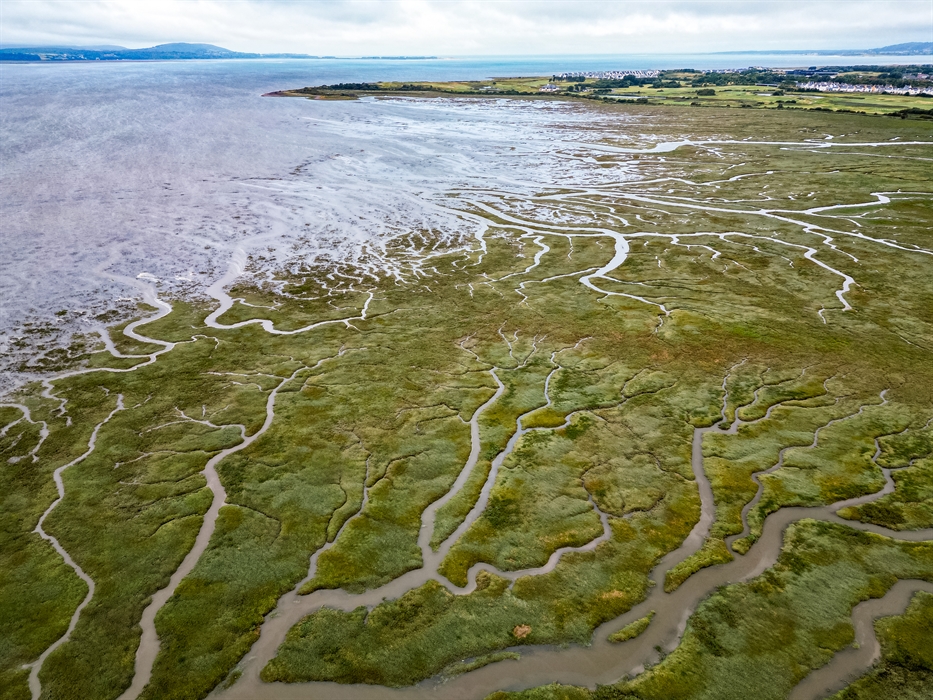 An aerial photograph of the saltmarsh at WWT Llanelli