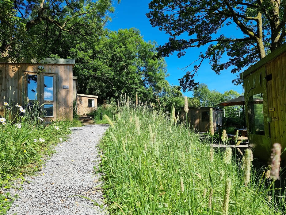 A path leading to wooden cabins set amongst trees and grass and with a blue sky