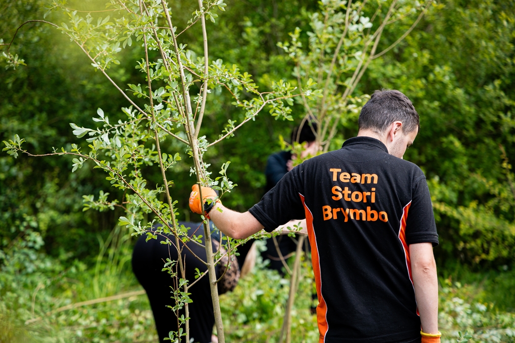 A man with his back to the camera wearing a tshirt with the words Team Stori Brymbo on the back. He is wearing work gloves and holding a tree branch w