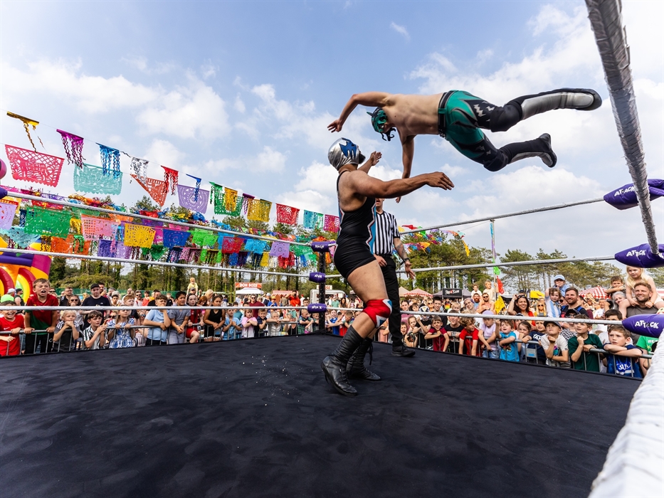A crowd watches Mexican wrestling as one wrestler flies through the air towards the other