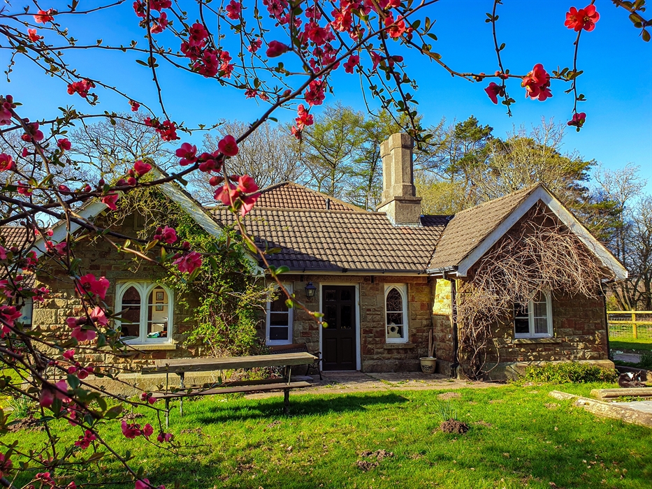 Two cottages are located in secluded Clyne Valley Country Park