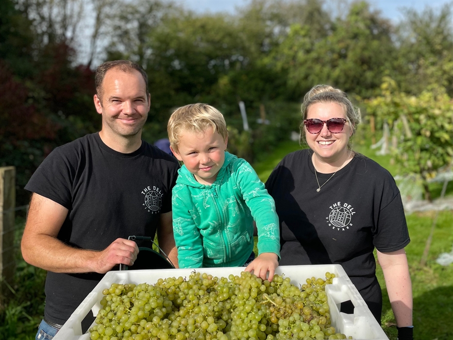 The Dell Vineyard