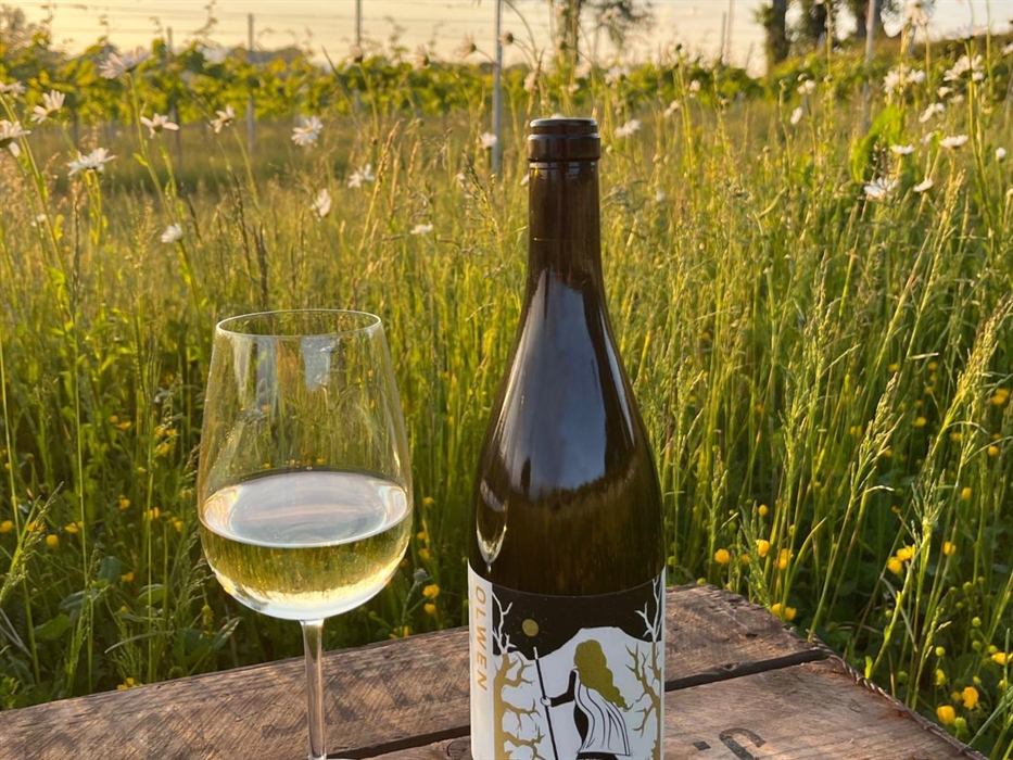 The Dell Vineyard