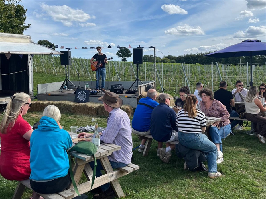The Dell Vineyard