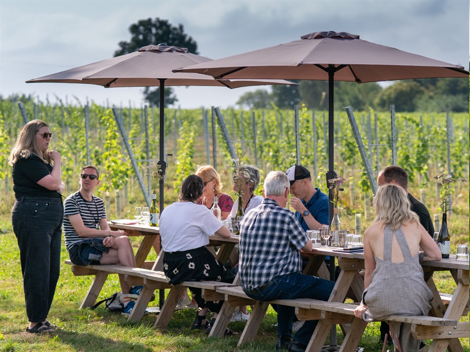 The Dell Vineyard