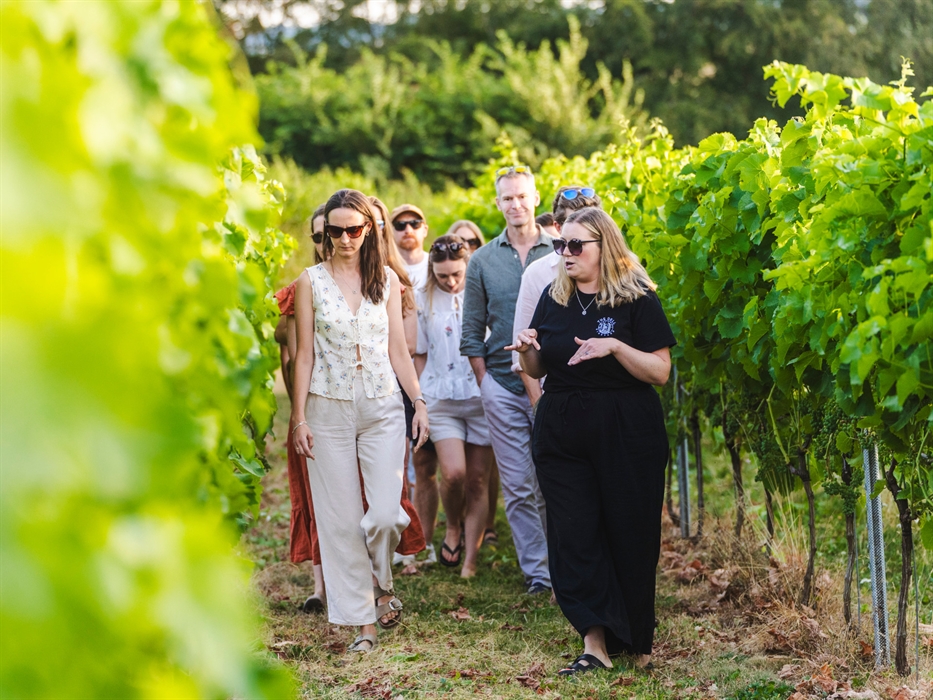 A group tour of a welsh vineyard