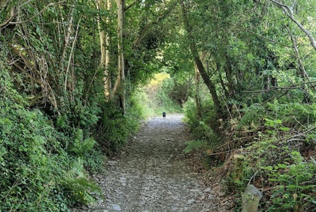 The longer quad / walking track to the top