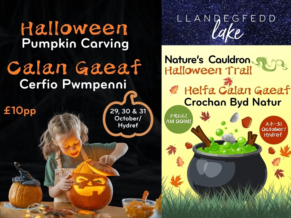 Halloween events at Llandegfedd Lake