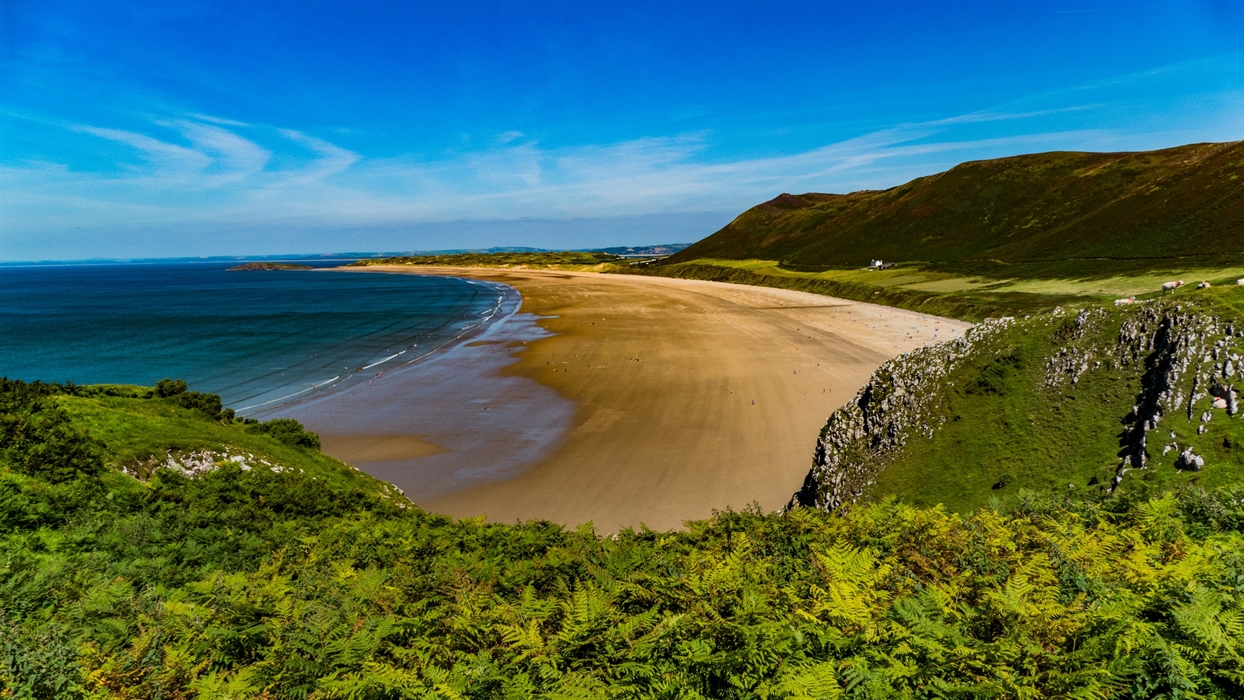 A wide sandy beach meets the ocean under a bright blue sky with wispy clouds. Green hills and rocky outcrops frame the scene, with lush ferns in the f