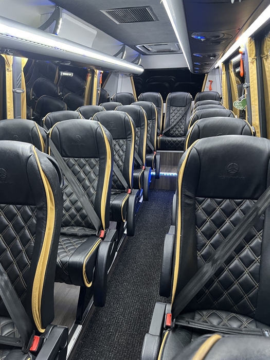 A selection of our touring fleet