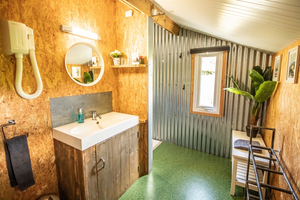 A fully flushing toilet and hot shower with a hairdryer.