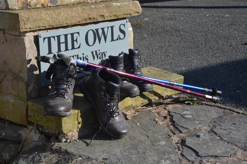 Walking from The Owls