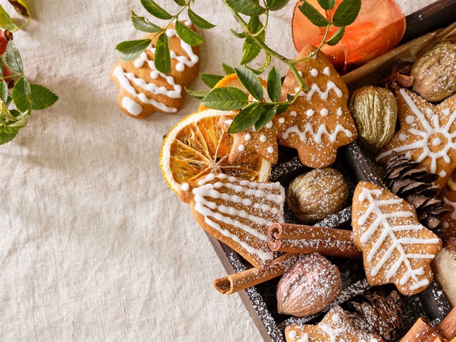 Christmas Fair @ Llys-y-frân Visitor Centre