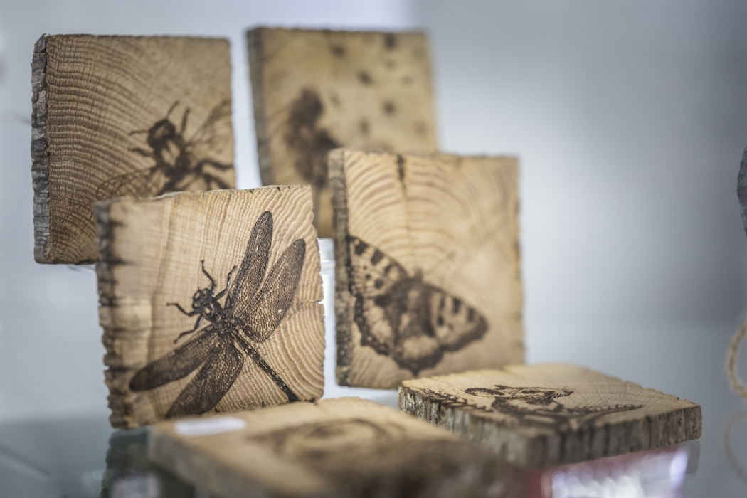 Handmade wooden art pieces featuring insects and butterflies engraved onto natural wood slices.