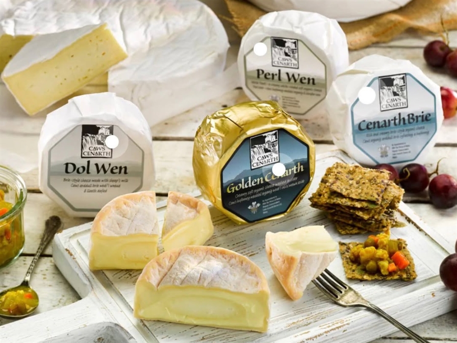 Aberdyfi Food Festival