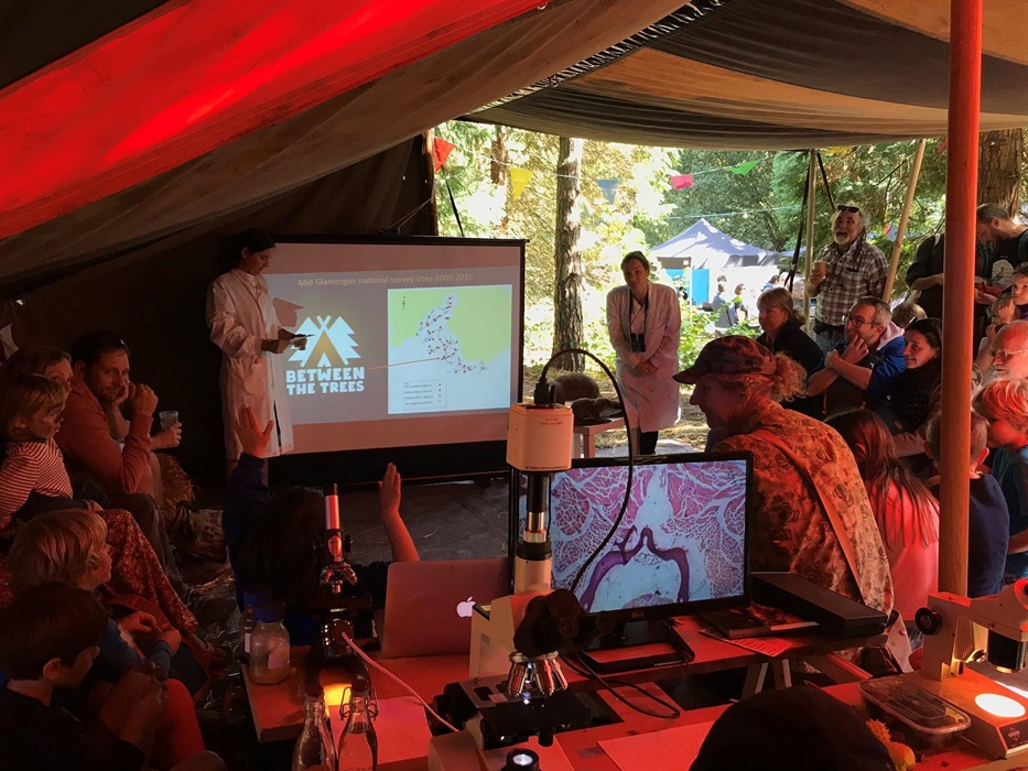 Between the Trees Talks and Workshops