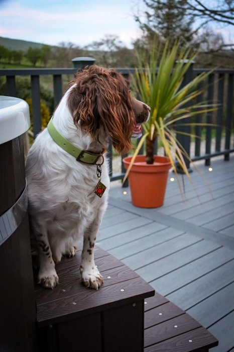 We are extremely dog friendly and wecome dogs. The enclosed decked areas ensure dogs are secure; peace of mind for guests.