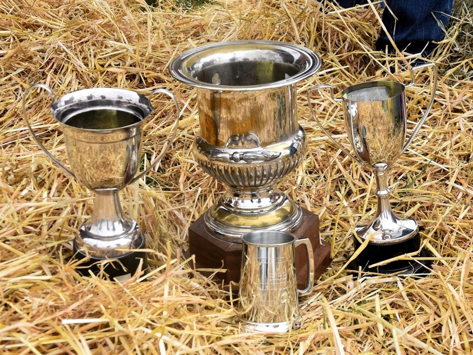 Cups and Trophies at Cardigan County Show