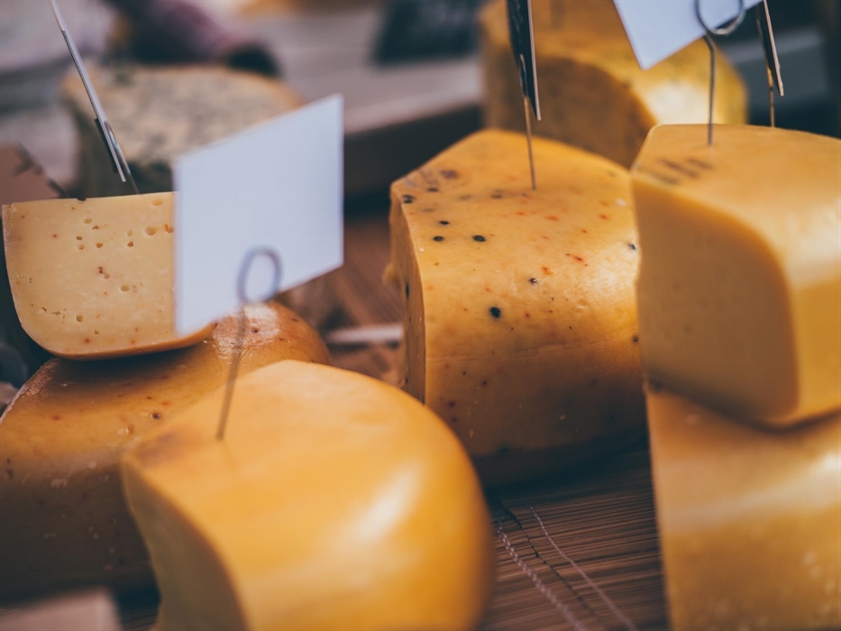 Cardigan River & Food Festival