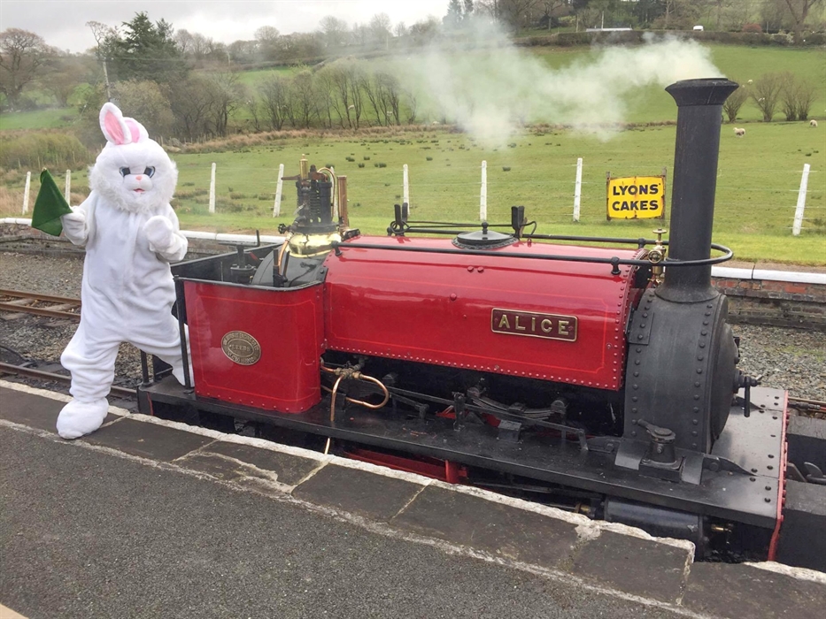 White Rabbit at Bala Lake Railway