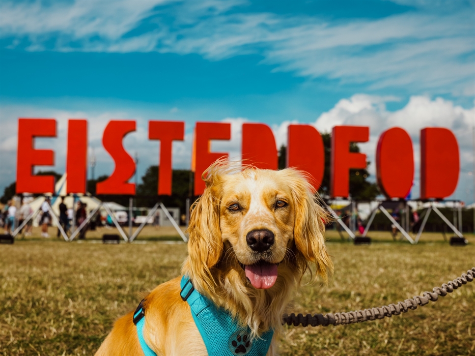 National Eisteddfod Wrexham