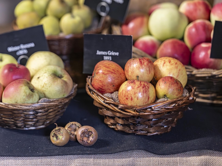 Erddig Apple Harvest Celebration 2025