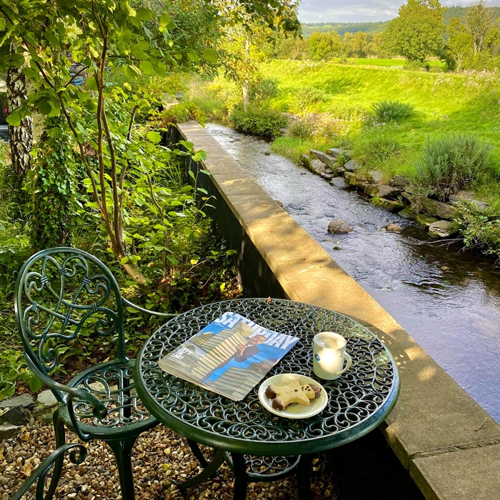 A table set amongst plants and flowers in the garden at Crafnant House