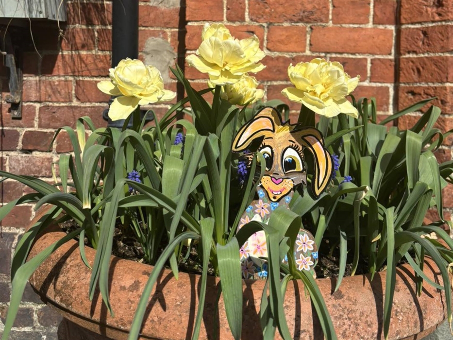 Gregynog Easter Trail